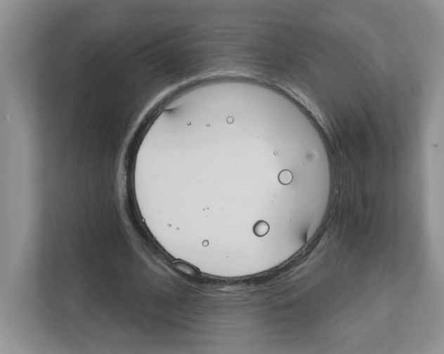 X0000111420584200908241134
