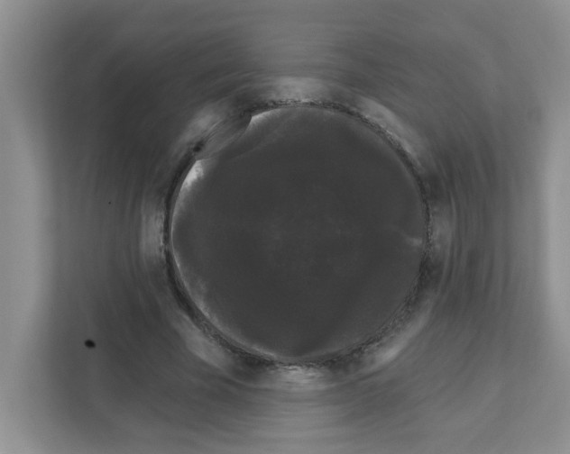 X0000111420585200908241134
