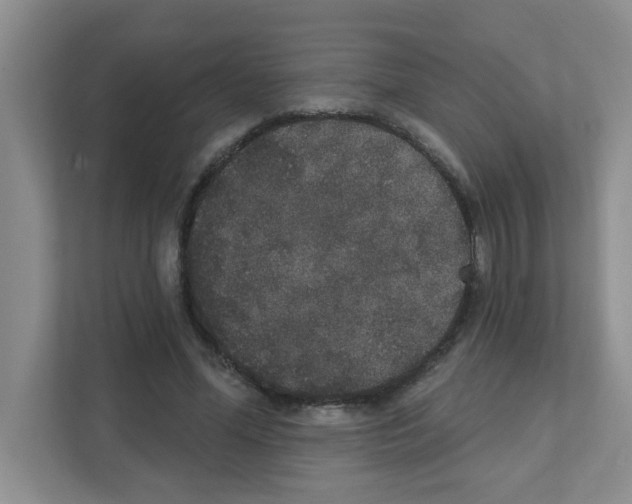 X0000111420588200908241134