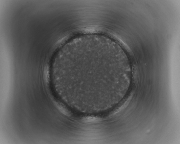 X0000111420590200908241133