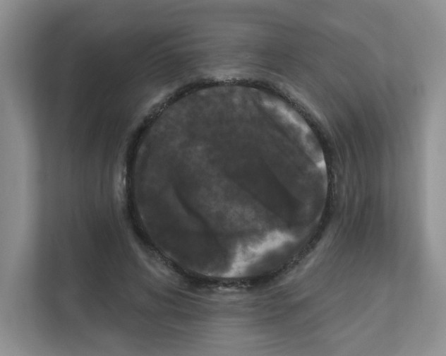 X0000111420592200908241133
