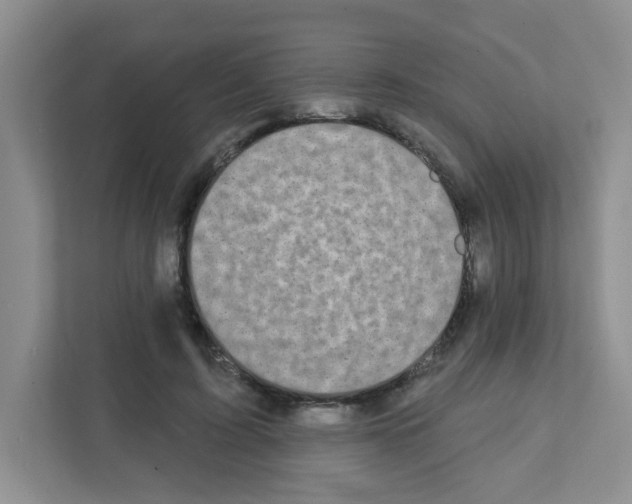 X0000111420595200908241133
