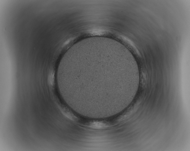 X0000111420596200908241133