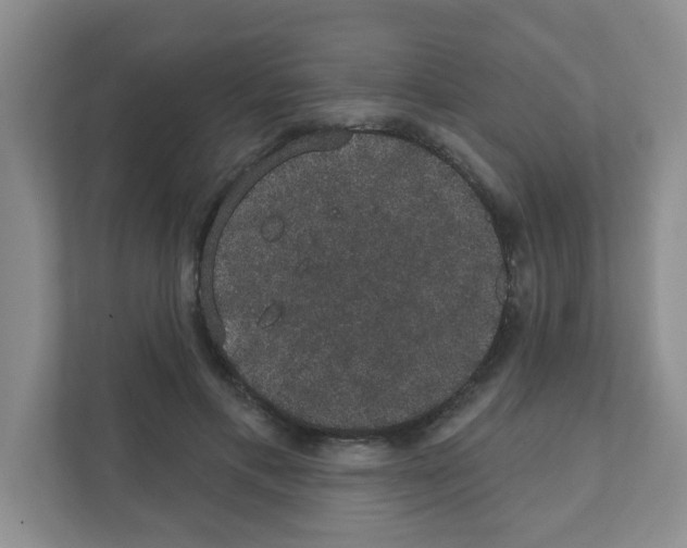 X0000111420597200908241133