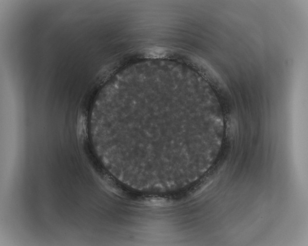 X0000111420598200908241133
