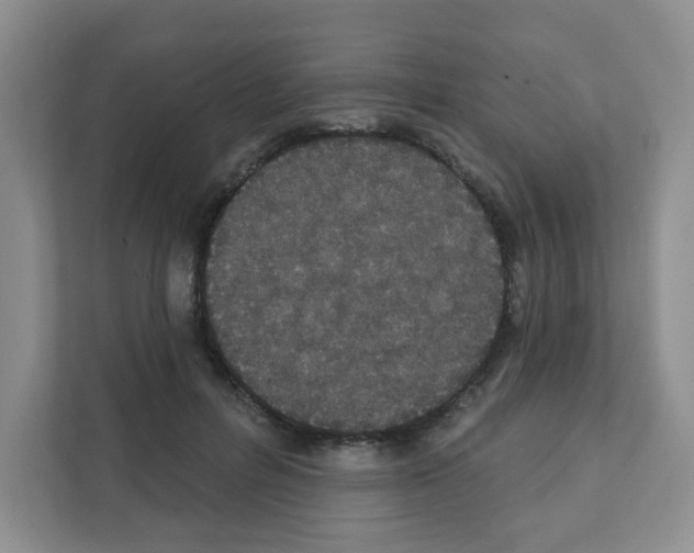 X0000111420600200908241133