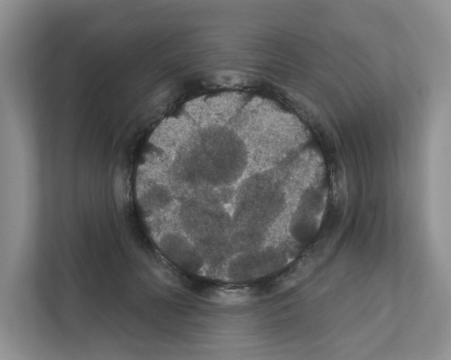 X0000111420606200908241133