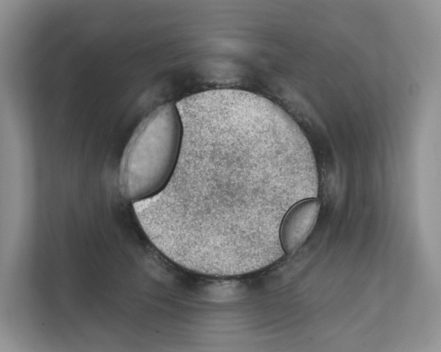 X0000111420609200908241133