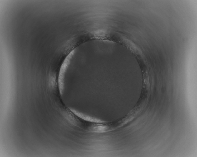 X0000111420610200908241133
