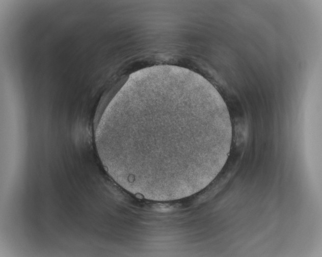 X0000111420613200908241133