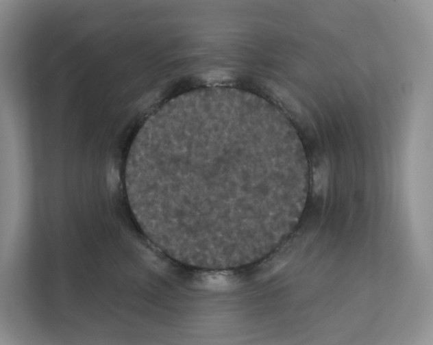 X0000111420618200908241133