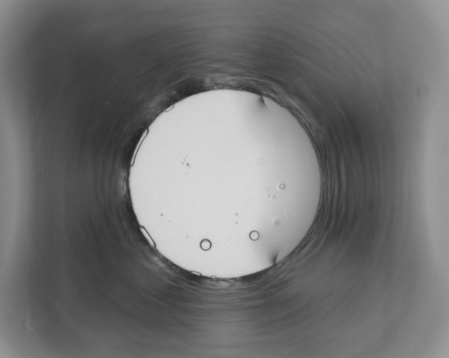X0000111420621200908241133