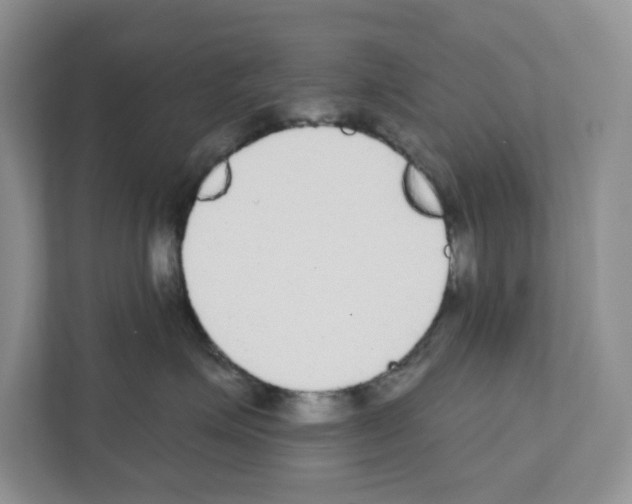 X0000111420623200908241133
