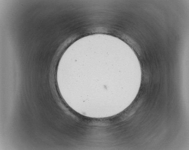 X0000111420625200908241132