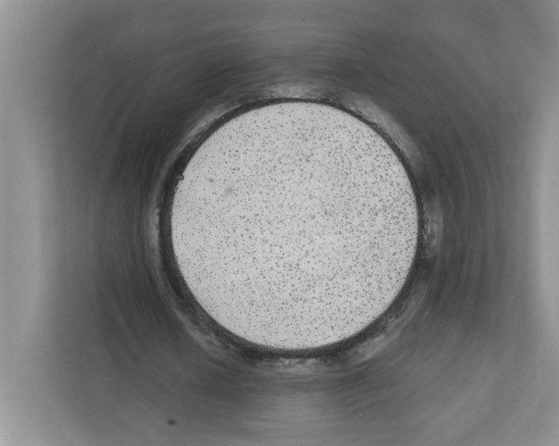 X0000111420626200908241132