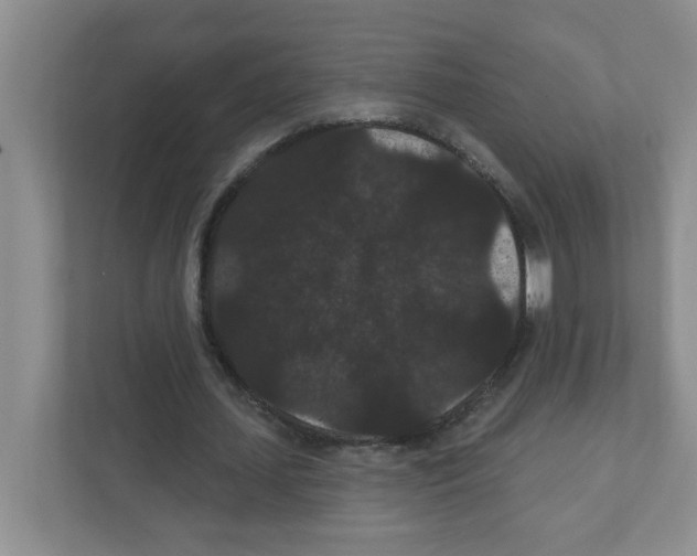X0000111420627200908241132