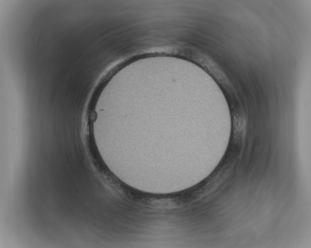 X0000111420628200908241132