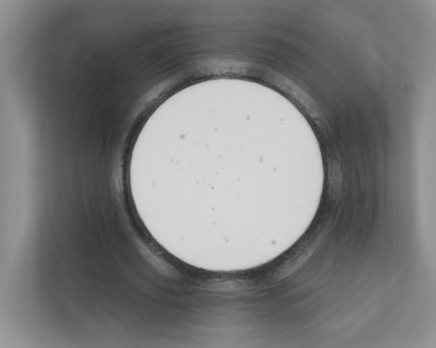 X0000111420629200908241132
