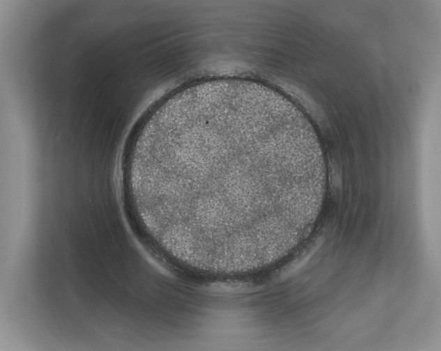 X0000111420630200908241132