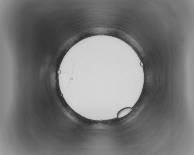 X0000111420633200908241133