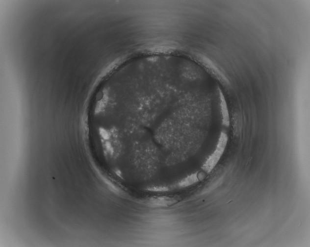 X0000111420634200908241133