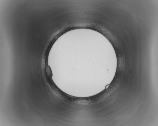 X0000111420636200908241133