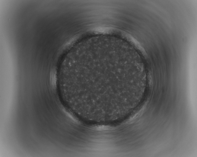 X0000111420637200908241133