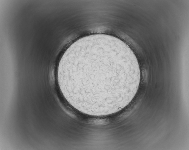X0000111420638200908241133