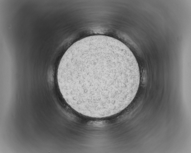X0000111420639200908241133