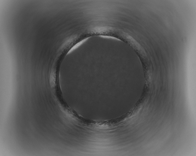 X0000111420640200908241133