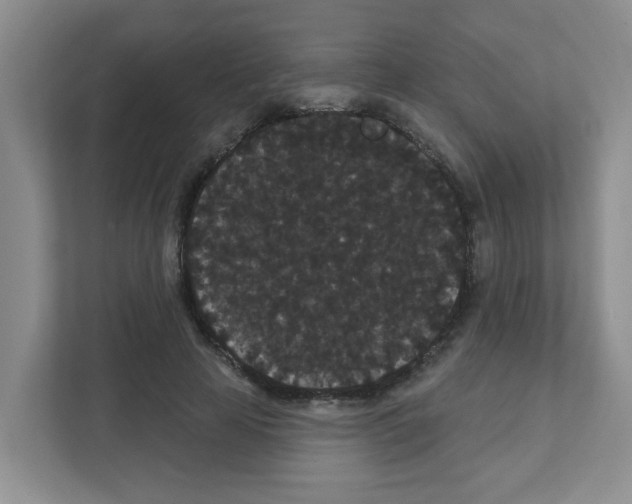 X0000111420641200908241133