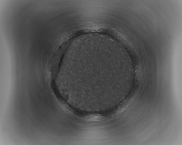 X0000111420642200908241133