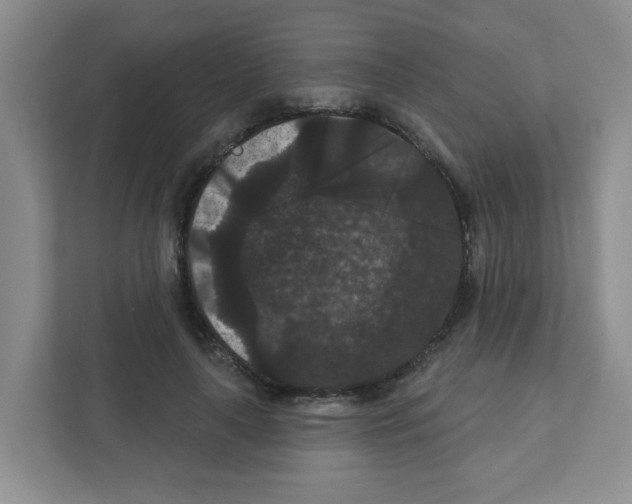 X0000111420643200908241133