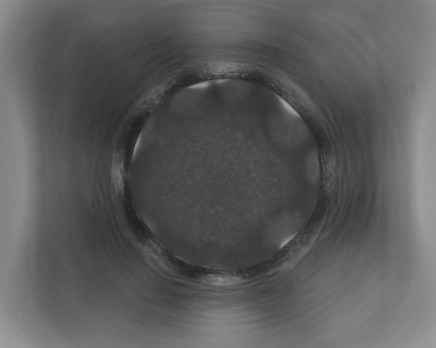 X0000111420644200908241133