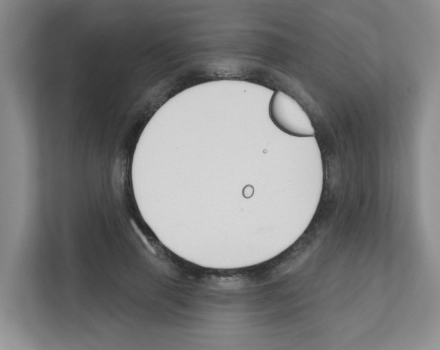 X0000111420645200908241133