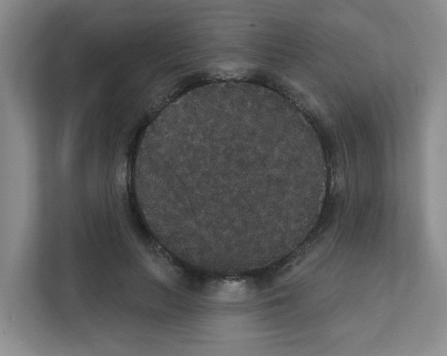 X0000111420647200908241133