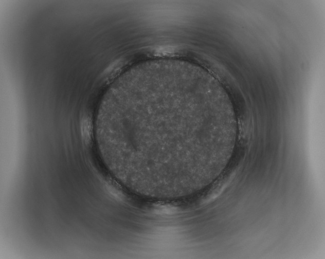 X0000111420648200908241133