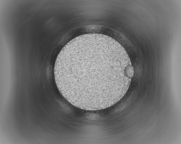 X0000111420649200908241133