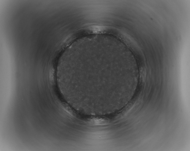 X0000111420650200908241133