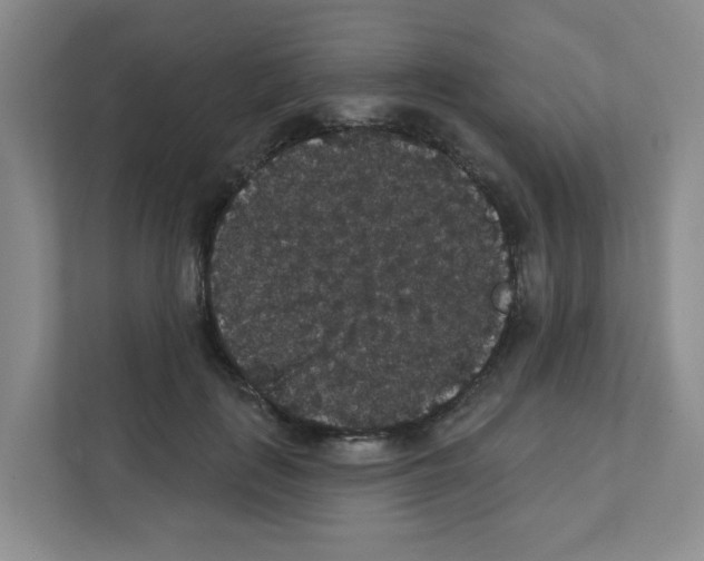 X0000111420651200908241133