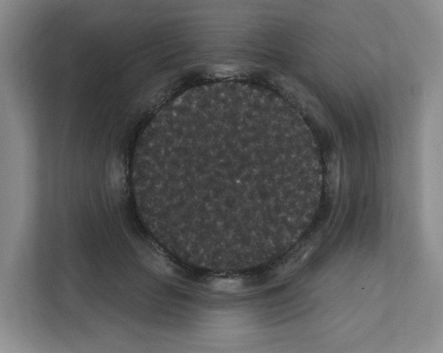 X0000111420653200908241133