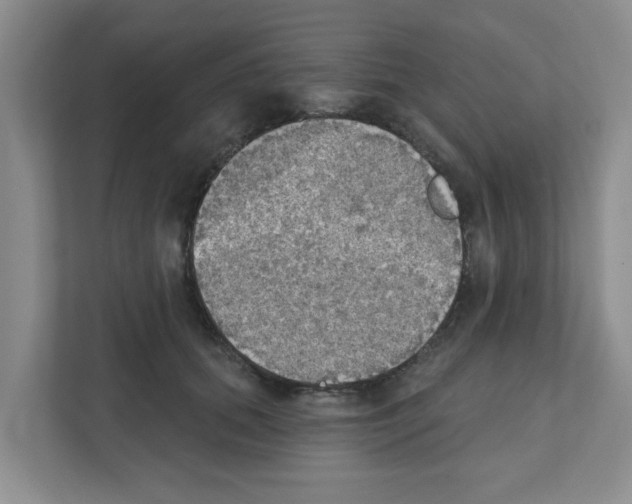 X0000111420655200908241133