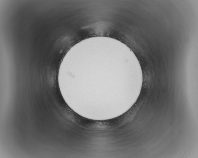 X0000111420656200908241133