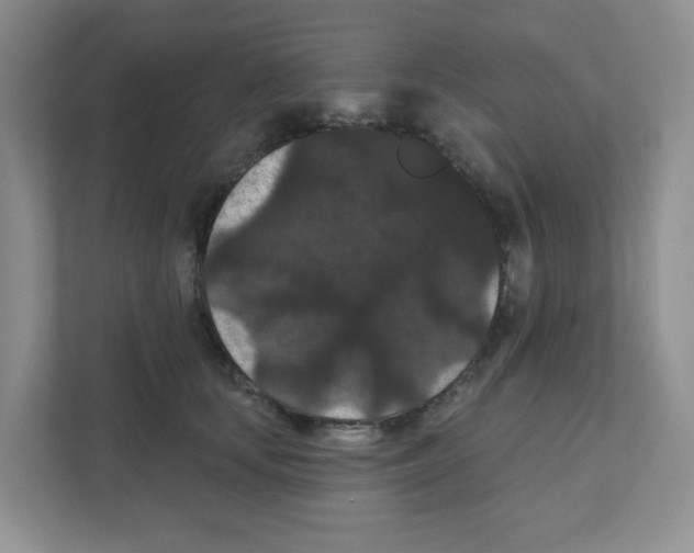 X0000111420659200908241133