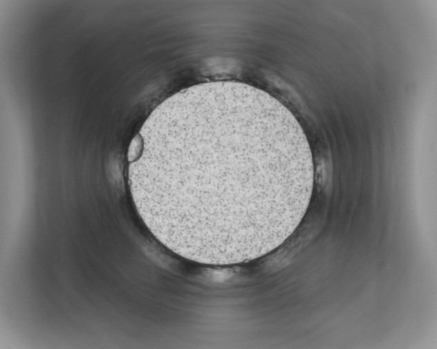 X0000111420662200908241133