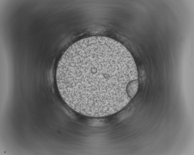 X0000111420664200908241133