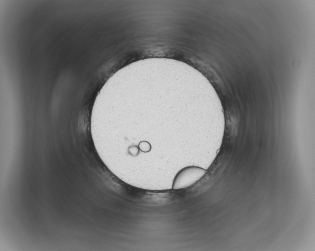 X0000111420665200908241133
