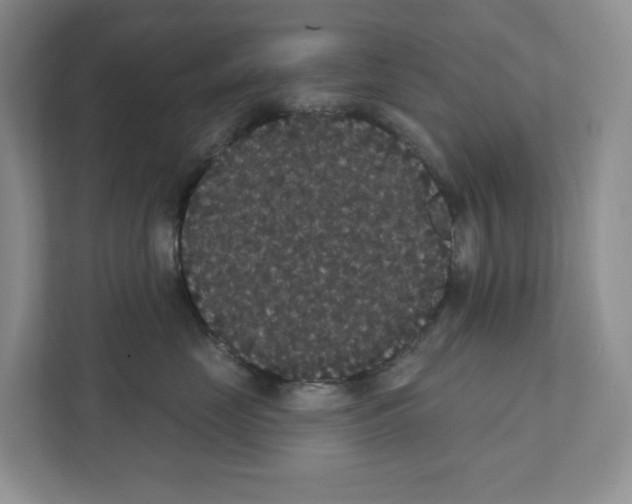X0000111420669200908241133