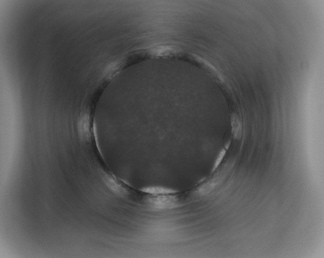 X0000111420670200908241133