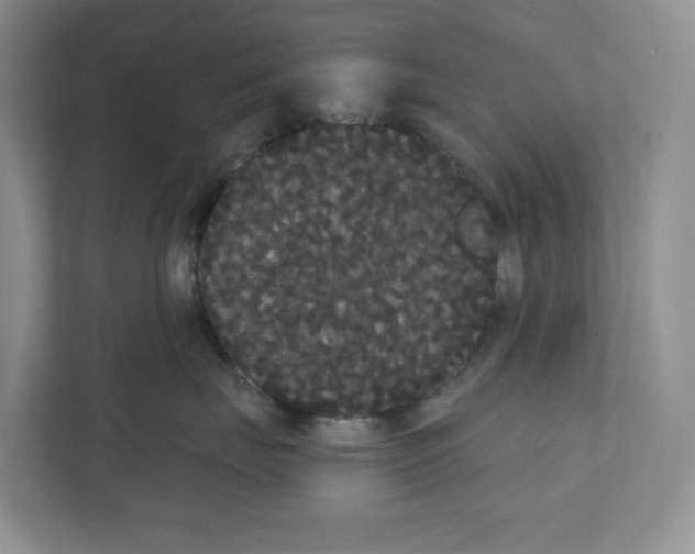 X0000111420671200908241133